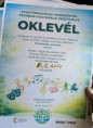 /album/gyogypedagogiai-intezmenyek-fovarosi-kulturalis-fesztivalja2/02a-zenekar-jpg/