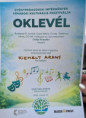 /album/gyogypedagogiai-intezmenyek-fovarosi-kulturalis-fesztivalja2/04-krisztian-jpg/